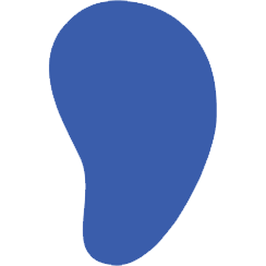 آکادمی زبان لمیر